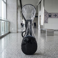 Transparent Pipa Carrying Bag Clear Pipa Backpack Portable Lightweight for Music Students, Rehearsals, Travel