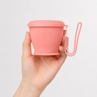 collapsible cup