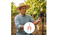 Fruit Thinning Shears Reduces Hand Strain Fruit Scissors with Clamp Tweezer Scissors Lightweight Design Garden Pruner