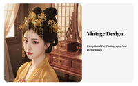 Chinese Regal Avian Hair Crown Dangling Tassels Traditional Chinese Attire Hair Accessory Tang Period Design Hairpiece Gilded