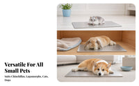 Stainless Steel Pet Cooling Plate Metal Pet Cooling Plate Rounded Corners