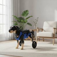Adjustable Dog Wheelchair with Textile Sling Breathable Rear Leg Wheelchair Reflective Mobility Aid Stable for Disabled Dogs, Injured Pets, Daily Walks, Rehabilitation
