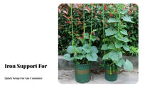 Climbing Plant Support Climbing Plant Frame Keeps Plants Tidy Flower Support Stake for Patio, Balcony, Indoor