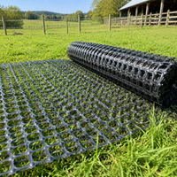 Insect-proof Net, Bird-proof Net, Animal-proof Net, 2m×50m, Plastic, 35mm Mesh, UV-resistant, Black, For Gardening, Home Vegetable Garden, Fence Net