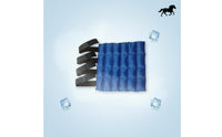 Equine Refrigerated Pack Boot Horse Leg Ice Boot Soft Flexible Horse Cold Compress Wrap After Exercise Exercise
