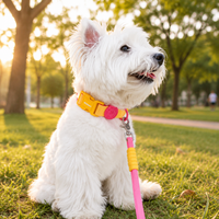 Dog Leash Night Walk Large Dog 1.5m Waterproof Polyester Lemon Yellow Snap Closure