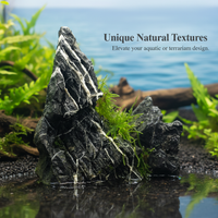 Natural Qinglong Stone for Aquarium Landscaping and Moss Terrariums