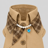 pet coat