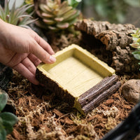 Anti-Slip Reptile Bath and Tortoise Bathing Pool, Shallow Reptile Bath for Reptiles, Snakes and Geckos, Sturdy Resin Soaking Basin Dish