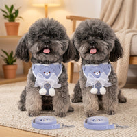 Retractable Dog Leash and Harness Set for Small Pets, Soft Bow Harness Leash for Walking and Training, Puppy Leash and Vest for Daily Outings