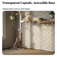 DIY Assembly Pipeand design Climbing Frame Space-Saving vertical surfaceMounted feline Furniture Set configurable Design Feline Activity Center Easy Installation for Apartment Dwellers, Around DrainSmall areas, Apartments, Living Room