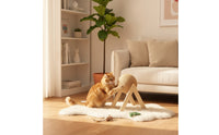 Interactive Rotating Cat Scratcher Ball Compact Cat Scratching Ball on Stand Space-Saving Pet Toy Stylish for Kittens
