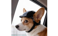 Dog Cat Helmet with Ear Hole Cute Comfortable Breathable Dogs Hat for Riding Adjustable Strap for Yorkshire Terrier Pug