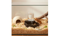 Automatic Water Feeder Anti-Drowning Small Pet Water Bowl Easy to Clean for Breeding Box, Terrarium