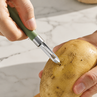 Stainless Steel Multifunction Peeler for Potatoes, Fruits & Vegetables