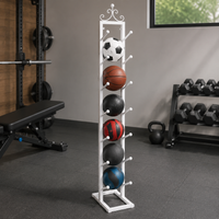 sports ball rack