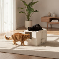Convertible Cat Litter Box with Scoop Large Litter Box with Lid Front-Entry Pet Supplies Anti-Splashing for Home