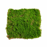 Artificial Moss Panel Natural-Looking Moss Mat Faux Grass Panel Dense Grass Wall Backdrop Textured for Event Planners