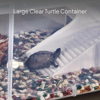 Transparent Turtle Tank with Lid and Drainage