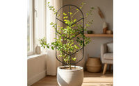 4 Pieces Metal Plant Trellis Tall Trellis with Arched Top Indoor Climbing Frame for Balcony