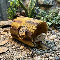 Crested Gecko Enclosure Accessories Resin Tree Hollow, Water-Repelling Reptile Hide and Tortoise House Indoor, Bark Climbing Surface