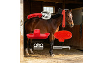 6 Pieces Horse Grooming Set Black Bristles Horse Grooming Kit Equine Brush Set Allall-in-All-Inclusive Portable for Riders