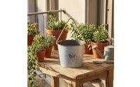 Distressed White Hanging Flower Pot Bird Motif Iron Flower Pot Rope Handle Metal Bucket Planter Printed Text
