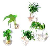 Creative Wall-Mounted Hydroponic Glass Vase for Home Decor