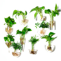 Creative Wall-Mounted Hydroponic Glass Vase for Home Decor