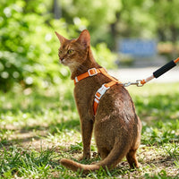 Kitten Harness and Cat Leash Set, Adjustable Polyester H-Style Travel Harness with 150cm Kitten Leash, Buckle Closure for Outdoor Pet Walking
