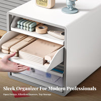 Multi-Drawer Desk Organizer Clutterunobstructed Solution for Workstation, Professionals