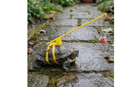 Turtle Walking Leash Telescopic Turtle Leash Harness Rod Handle Pet Tortoise Walking Rope for Outdoor
