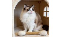 Feline Swab Toy Rod-Like Pet Plaything
