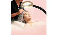 Professional Facial Steamer with Magnifying Lamp Wheeled Standing Facial Steamer Adjustable Beauty Device Salon-Style for Estheticians, Beauticians, Salons, Spas