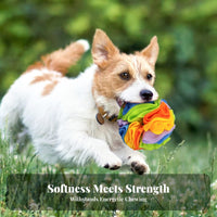 Dog Snuffle Ball Scent Training Snuffle Ball Interactive Dog Toy for Dogs, Young Dogs