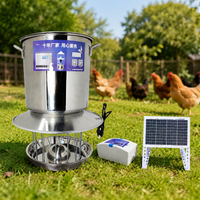 Automatic Cat Feeder for Two Cats, Timed Dry Food Automatic Cat Feeder with Stainless Steel Bowl, Dark Gray Automatic Pet Feeder