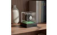Transparent Sports Ball Display Box Dustproof Acrylic Ball Display Case Desktop Decor Memorabilia Box for Desk