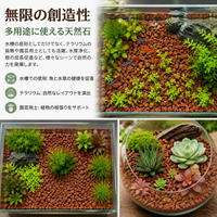 Red Lava Rock 6-9mm 5kg Aquarium Filter Media, For Aquatic Plant Growth, Bacteria Colonization, Aquarium Layout Stone