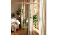 Beaded Plant Kit Hanging Beaded Plant Making Kit Handmade for Hobbyists, Adults