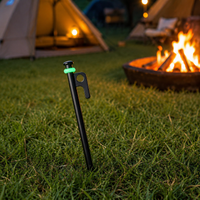 tent stakes
