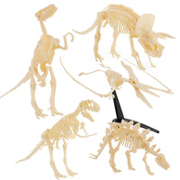 6 Pieces Dinosaur Skeleton Toys Figures Kit Translucent Dinosaur Skeleton Kit Archaeology Model for Kids