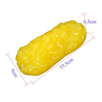 Anatomic Adipose Model Realistic Human Adipose Model Soft Texture Educational Tool for Teachers