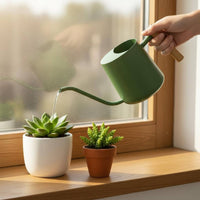Metal Watering Can Compact Small Wooden Handle Watering Can Easy to Control for Desk