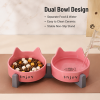 Elevated Ceramic Dog Bowls with Stand, Double Cat Bowls for Neck Strain, Spill-resistant Pet Feeding Station for Digestive Issues