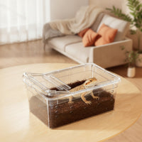 Reptile Enclosure with Ventilated Lid Easy to Clean Reptile Breeding Box Small