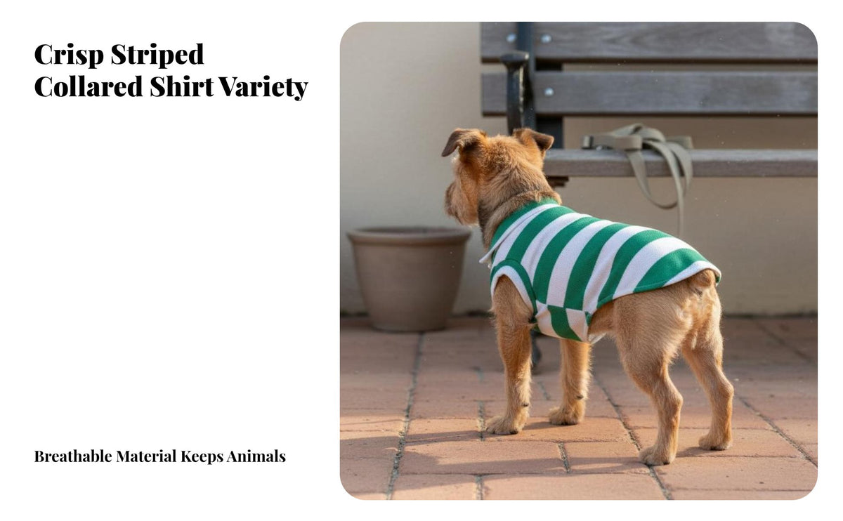 Breathable Two-Legged Pet Shirt Lightweight Summer Dog Shirt Soft for Dogs, Young Dogs, Daily Wear, Outdoor Walks, Walking