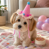 Pet Knitted Birthday Hat for Cats and Small Dogs, Cute Festival Photo Prop