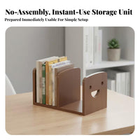 Tiered Desk Organizer Multi-Tier Design Desktop Shelf Multipurpose for Students