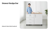Under Desk Storage Cabinet Large Capacity Mobile File Cabinet Space Saving Mobile Office Pedestal for Students, Study Room, Workplace