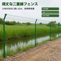 Outdoor Wire Mesh Fence, Welded Wire Mesh, 1.8m x 3m, Low Carbon Steel, Dark Forest Color, Garden Fence, Animal-Proof Fence